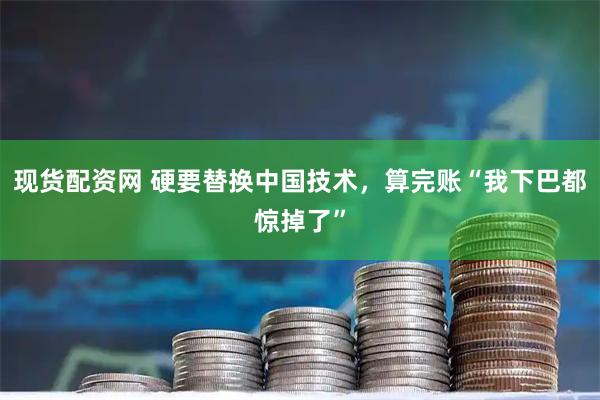 现货配资网 硬要替换中国技术，算完账“我下巴都惊掉了”